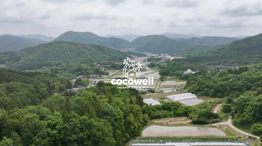 株式会社ココウェル 自社農園ドローン撮影